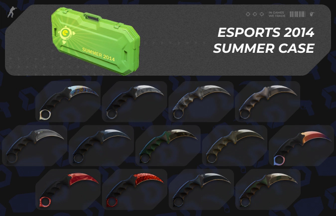 eSports 2014 Summer case cs2