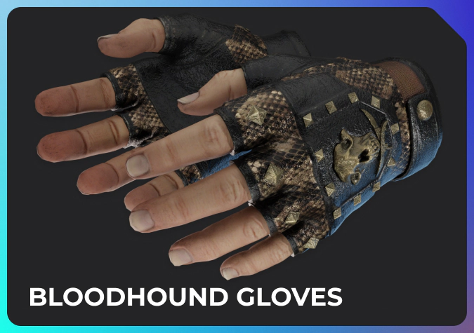 Bloodhound Gloves in CS2