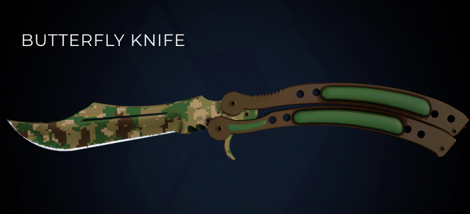 Butterfly knife in cs2