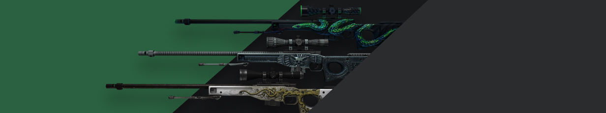 The Best AWP Skins Under $10