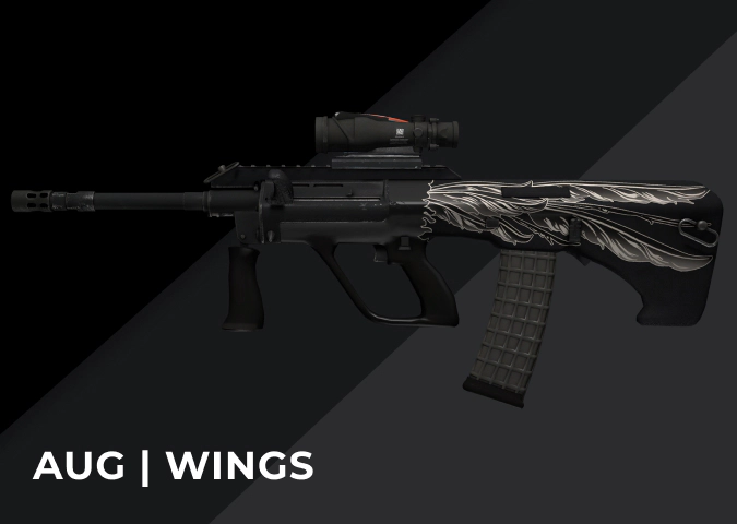 AUG Wings