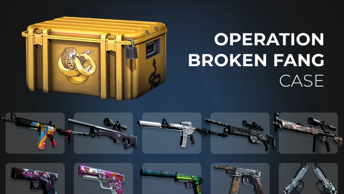 Operation Broken Fang Case