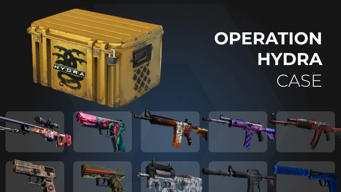 Operation Hydra Case