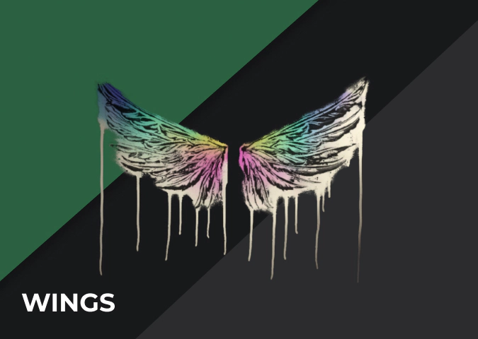 csgo graffiti Wings