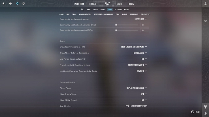 Optimal CS2 Settings: the Team section