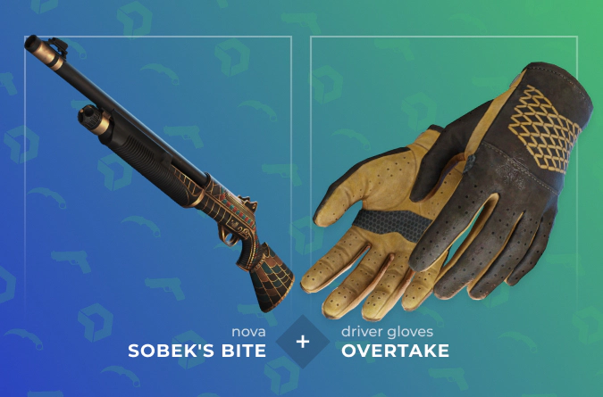 Nova Sobek's Bite and Driver Gloves Overtake combination