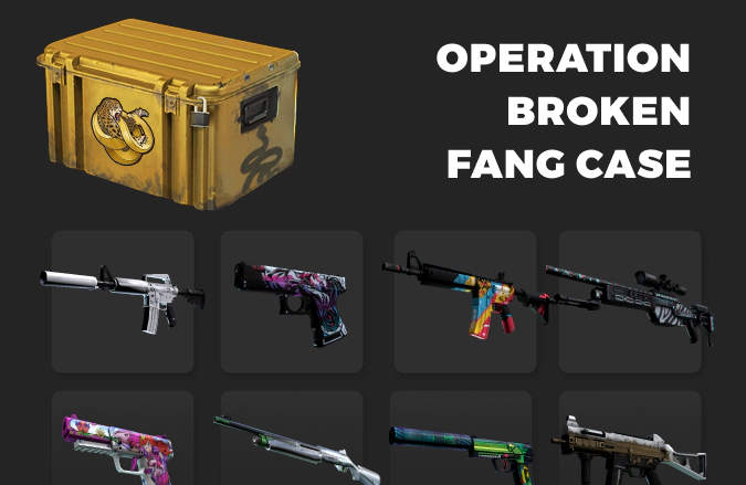 Operation Broken Fang Case