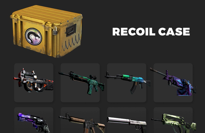 Recoil Case