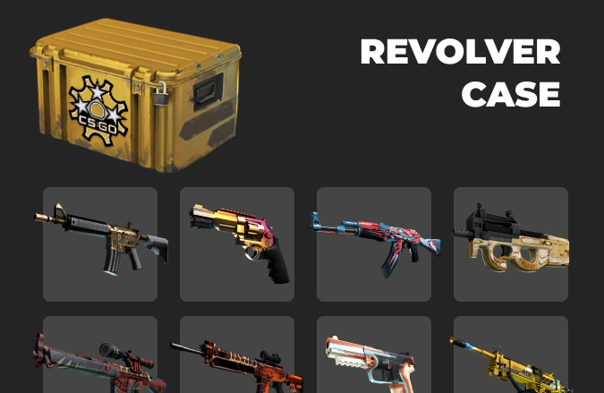 Revolver Case