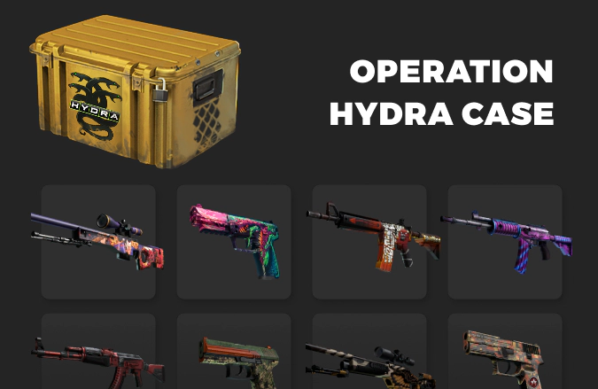 Operation Hydra Case