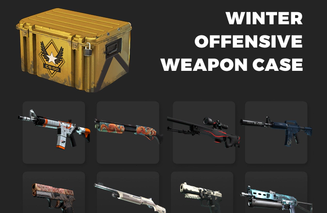 Winter Offensive Case