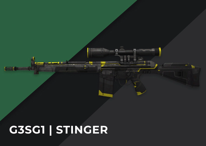 G3SG1 Stinger