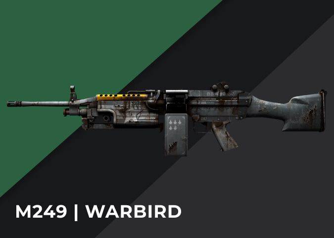 M249 Warbird