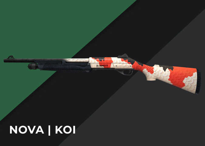 Nova Koi