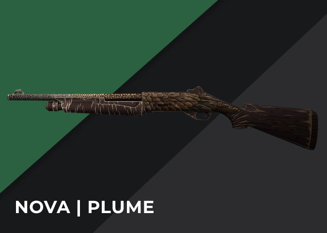 Nova Plume