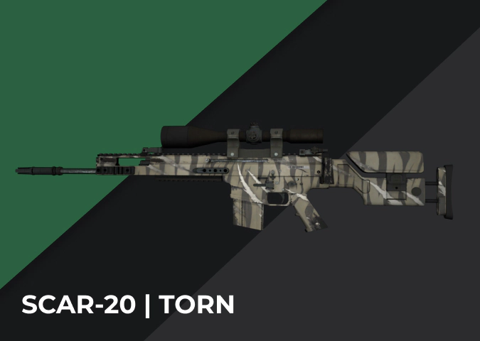 SCAR-20 Torn