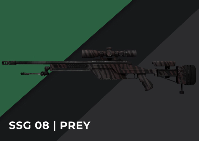 SSG 08 Prey