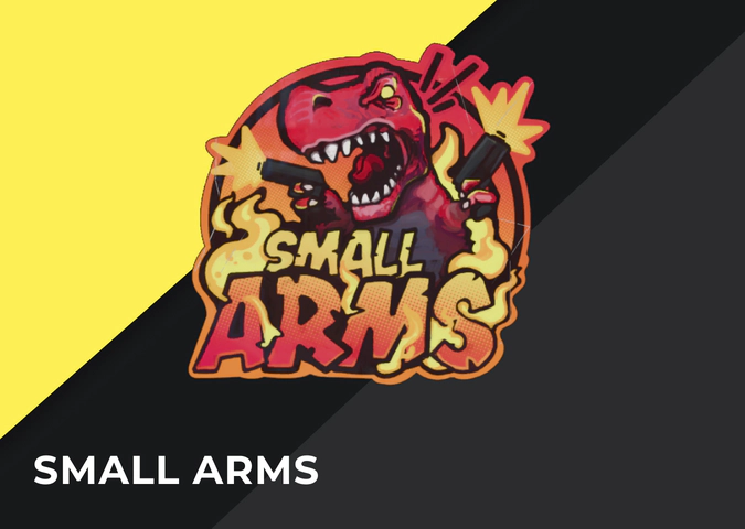 CS2 Sticker Small Arms