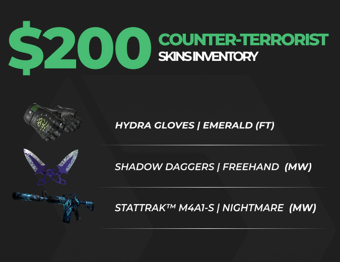 Counter-terrorist CS2 inventory worth $200