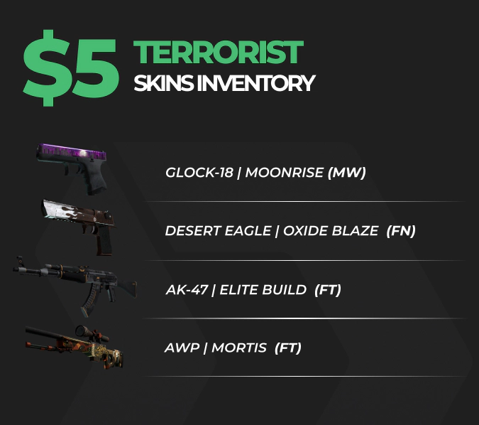 Terrorist CS2 inventory worth $5