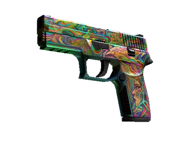 P250 Visions