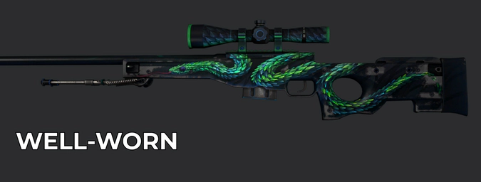 csgo skin well-worn