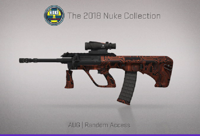 CS:GO skin AUG Random Access