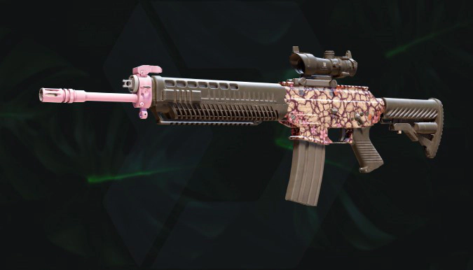 SG 553 Desert Blossom