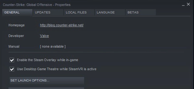 launch options in csgo