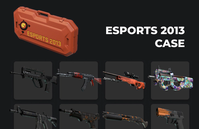 eSports 2013 Case