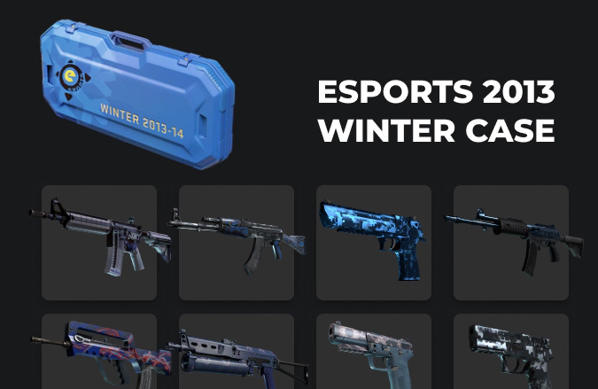 eSports 2013 Winter Case