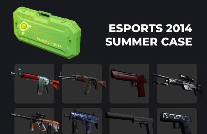 eSports 2014 Summer Case