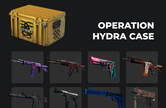 Operation Hydra Case