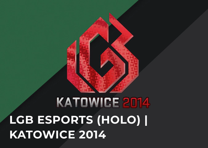 LGB esports holo katowice 2014