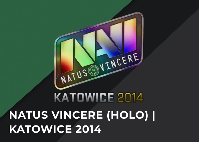natus vincere (holo) katowice 2014