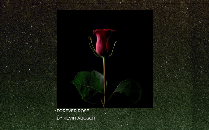 Forever Rose by Kevin Abosch