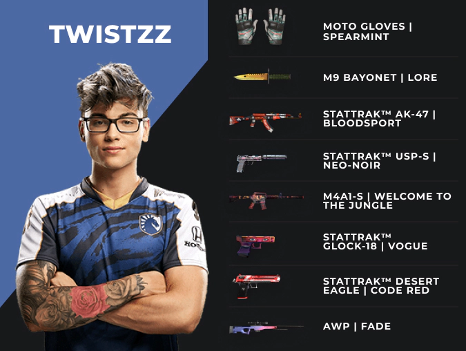 Twistzz skins