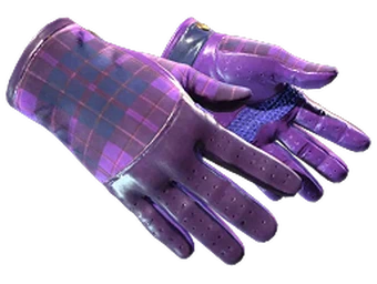 Driver Gloves image