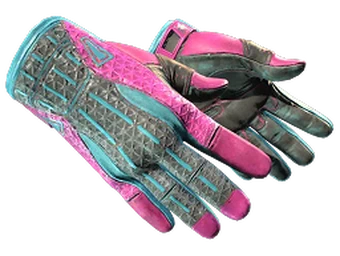 Sport Gloves image