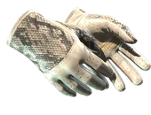 ★ Driver Gloves | King Snake image
