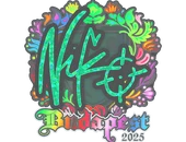 Sticker | NiKo (Holo) | Budapest 2025 image