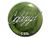 Sticker | COLDYY1 | Katowice 2019 image