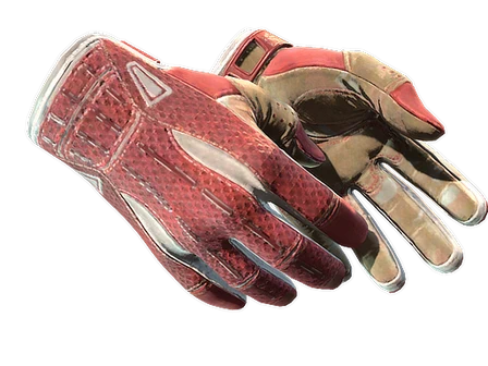 ★ Sport Gloves | Slingshot image