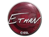 Sticker | Ethan | Katowice 2019 image