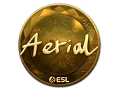 Sticker | Aerial (Gold) | Katowice 2019 image