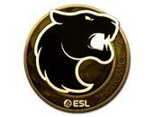 Sticker | FURIA (Gold) | Katowice 2019 image