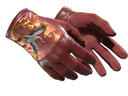 ★ Driver Gloves | Brocade Crane image