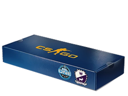 ESL One Cologne 2014 Cobblestone Souvenir Package image