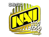 Sticker | Natus Vincere (Foil) | 2020 RMR image
