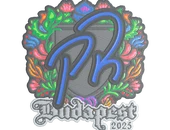 Sticker | PR (Embroidered) | Budapest 2025 image